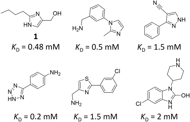 FIG. 1.