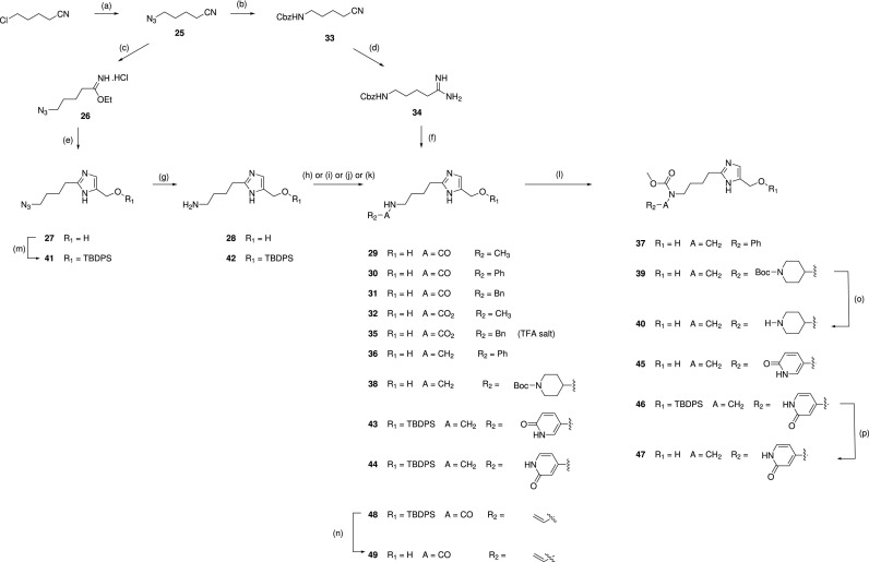 SCHEME 4.