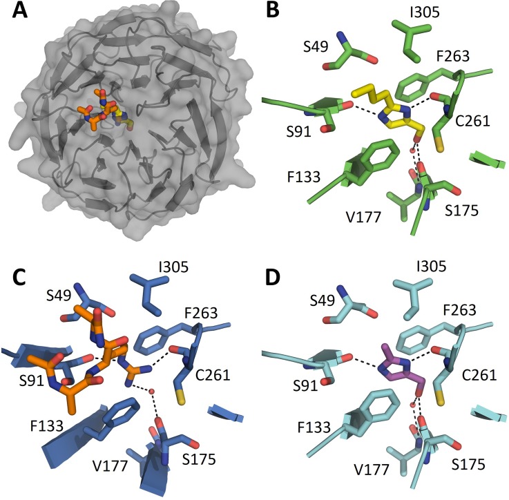 FIG. 2.