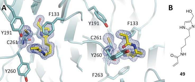 FIG. 4.