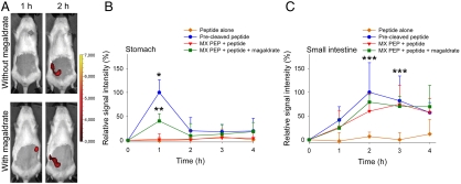 Fig. 4.