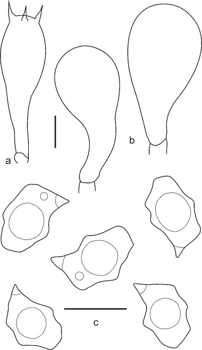 Fig. 22