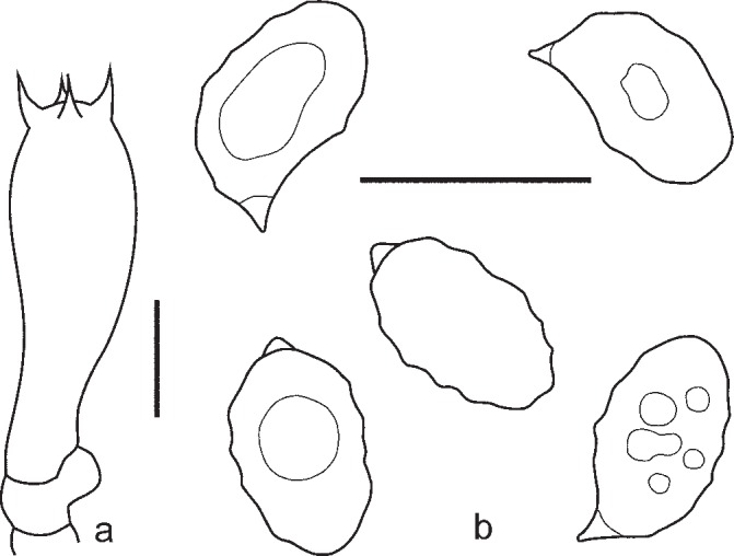 Fig. 11