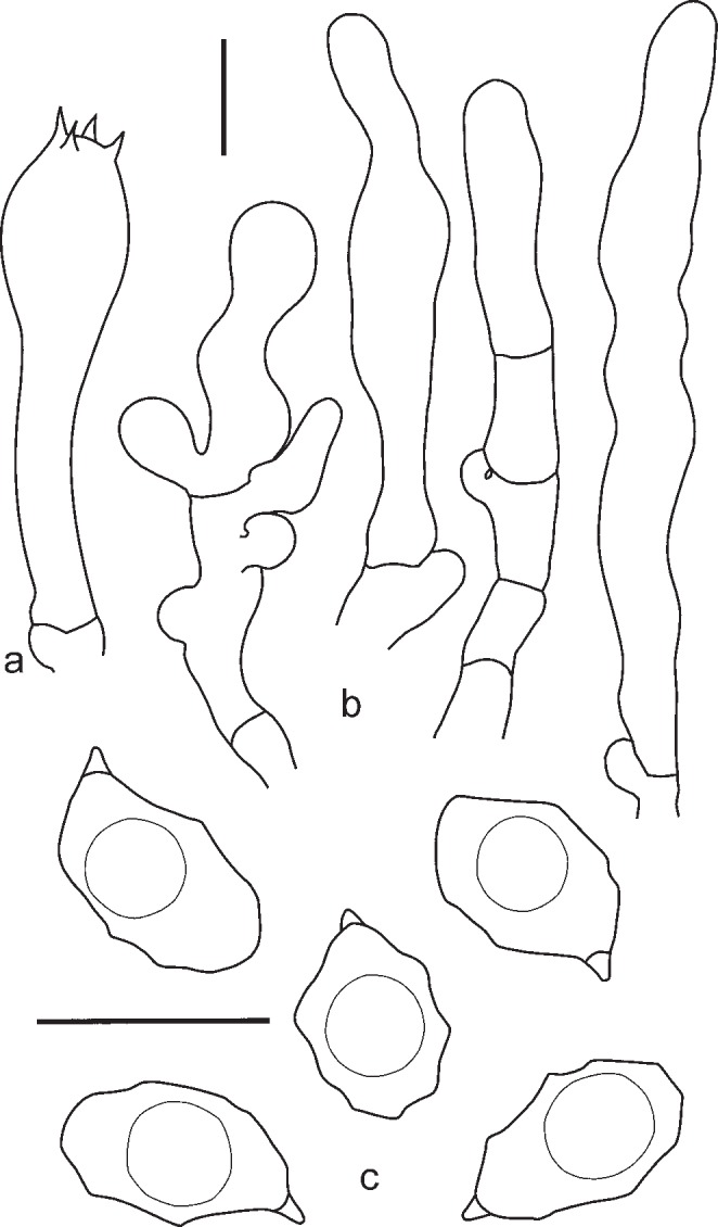 Fig. 15