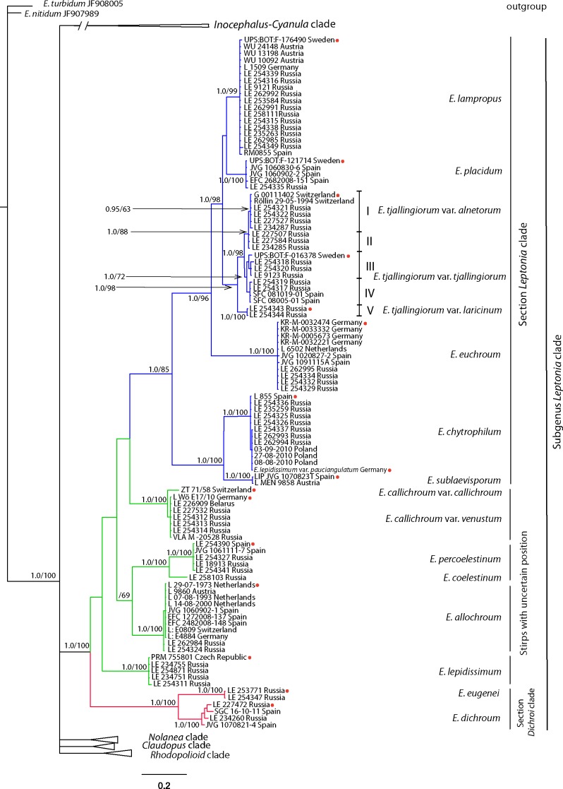 Fig. 2