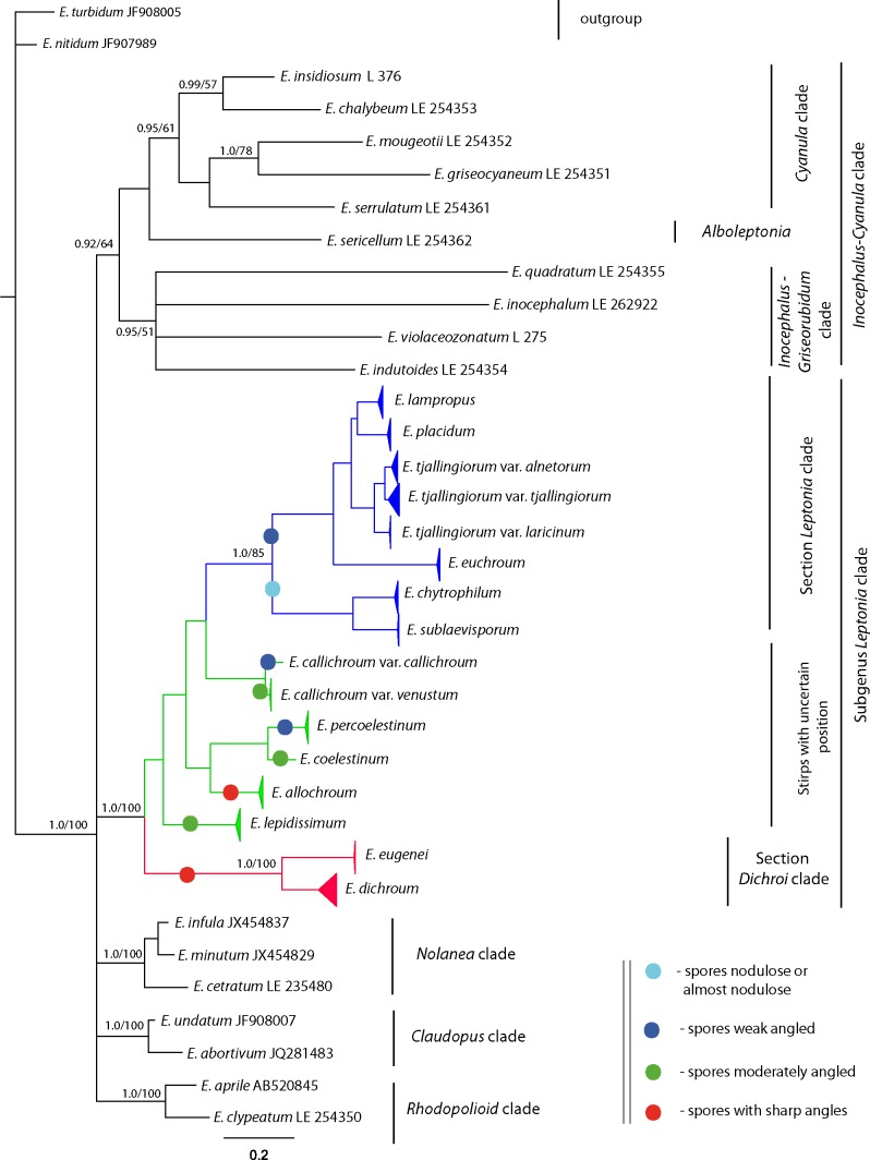 Fig. 1