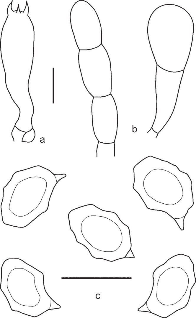 Fig. 8