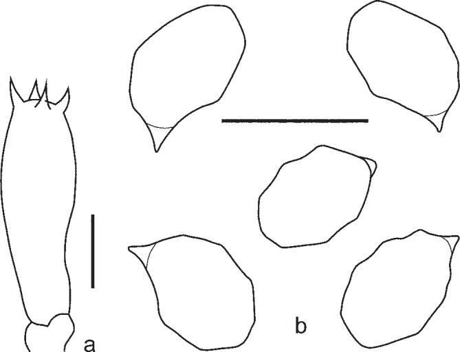 Fig. 10