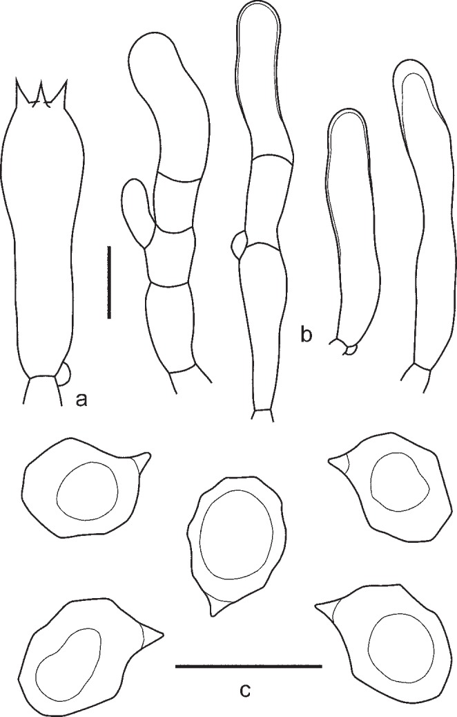 Fig. 7