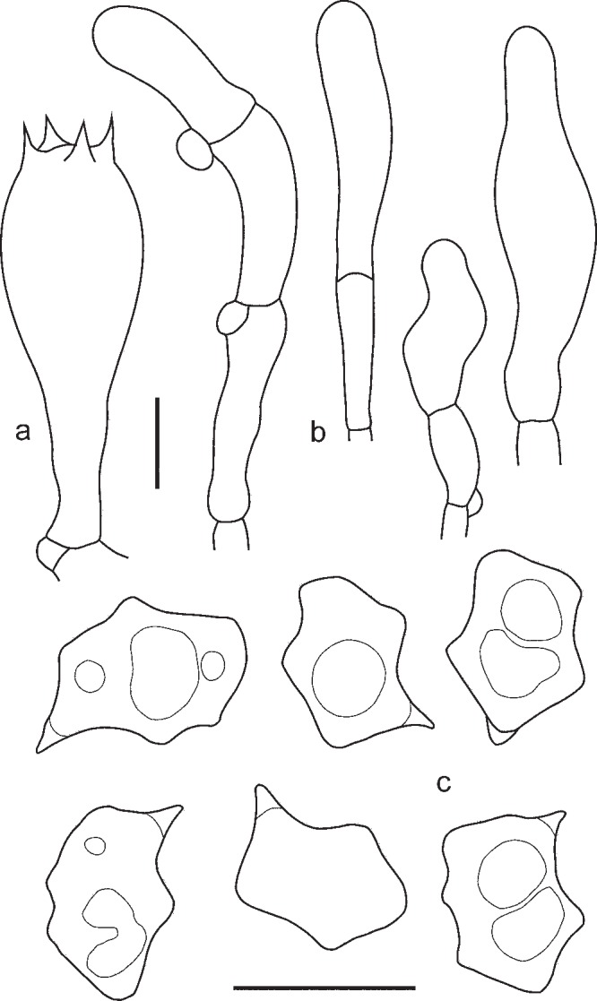 Fig. 20