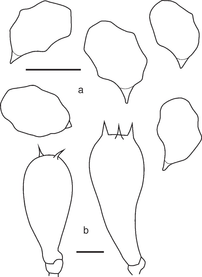 Fig. 21