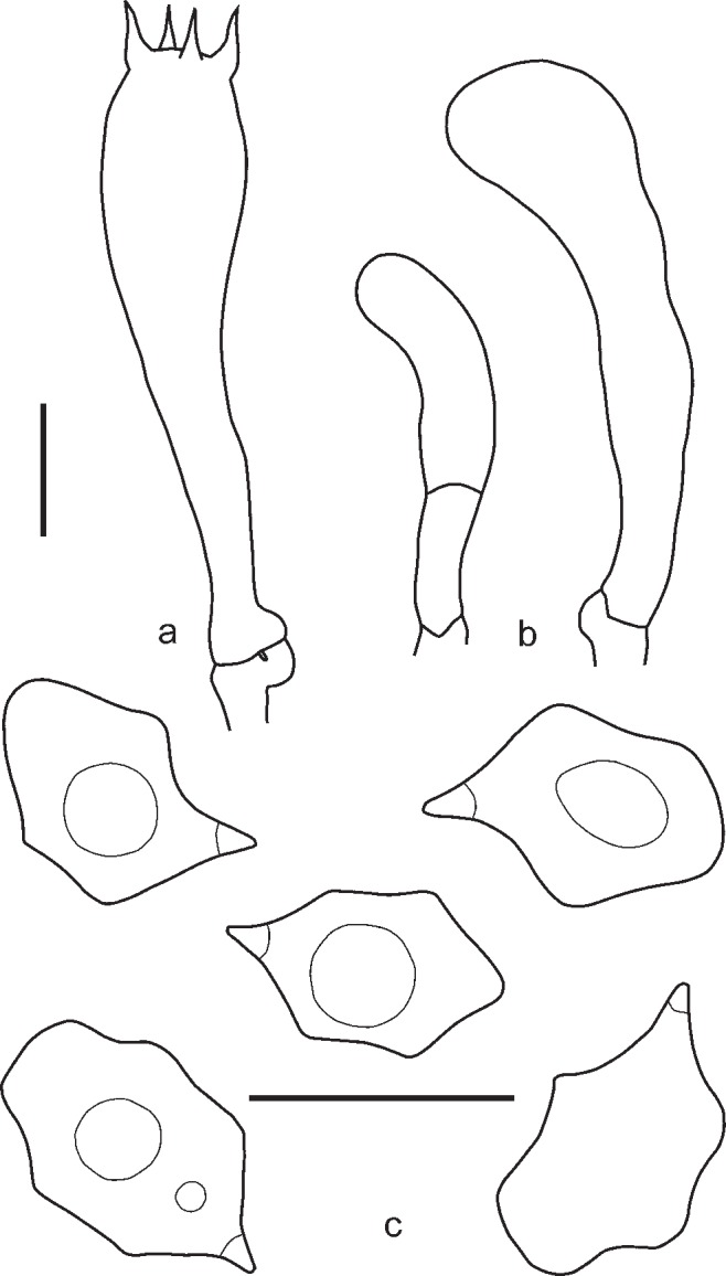 Fig. 18