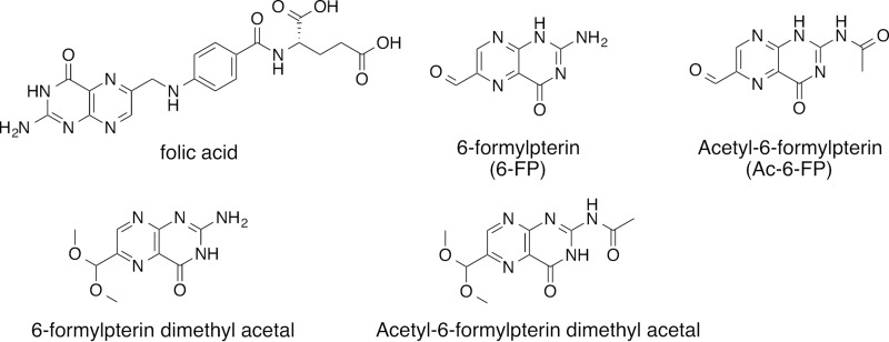 FIGURE 4.