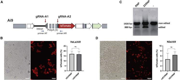 Figure 4