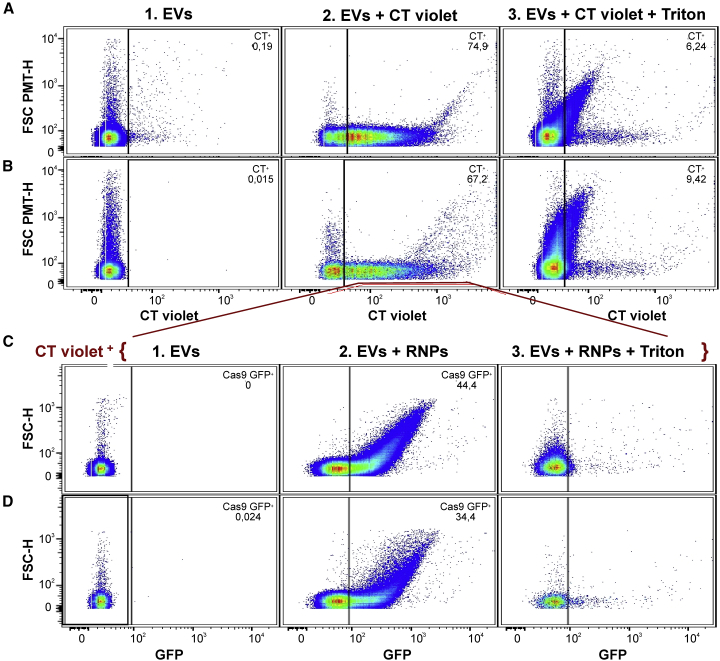 Figure 2