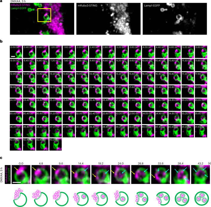 Fig. 2