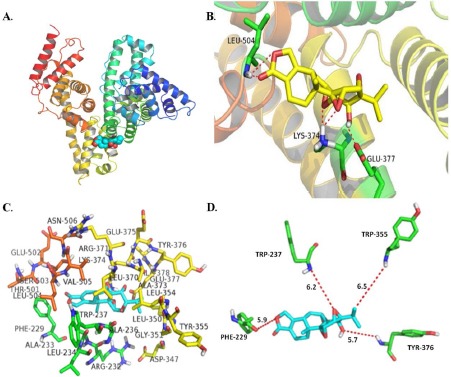 Figure 6