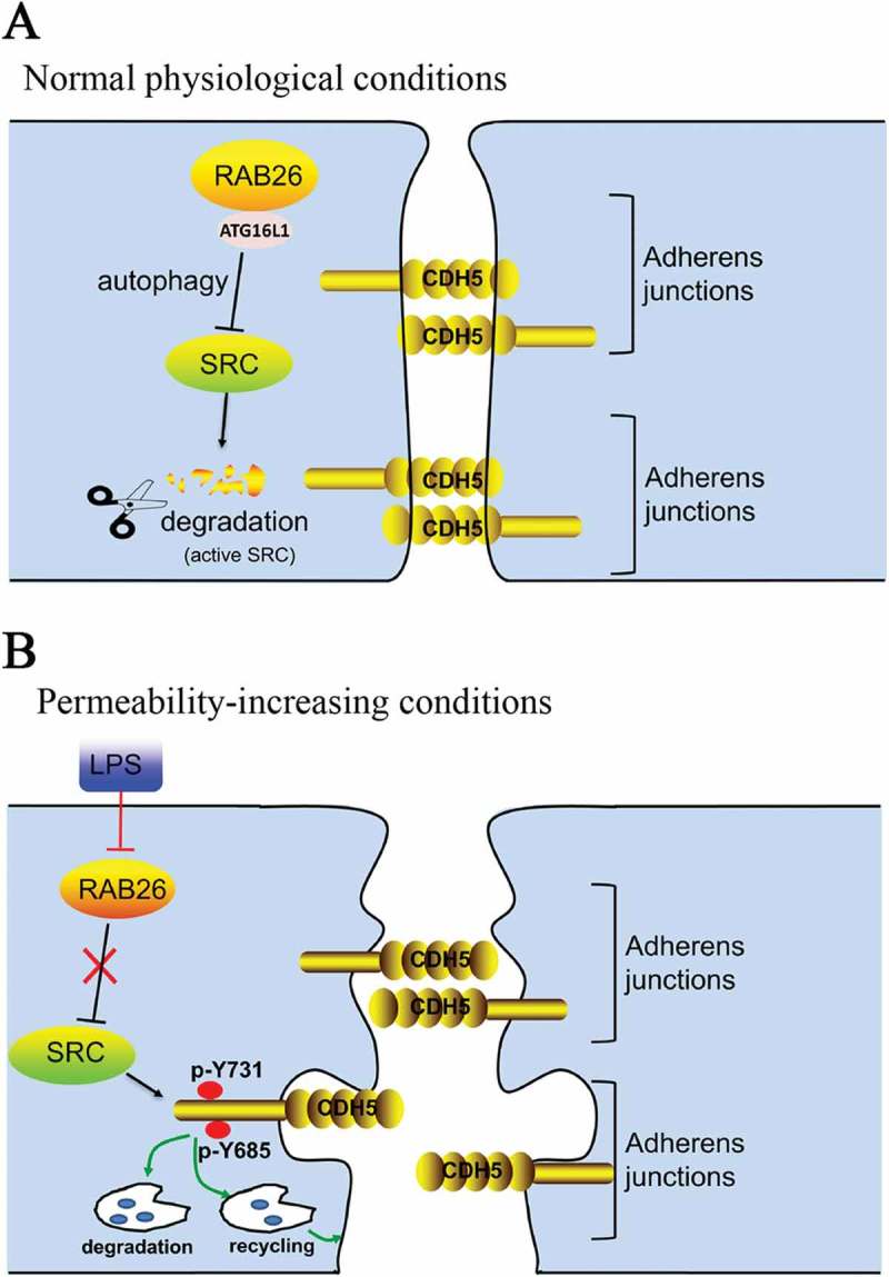 Figure 10.