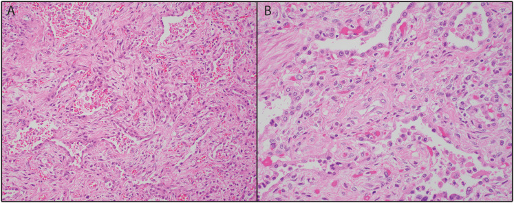 Figure 1.