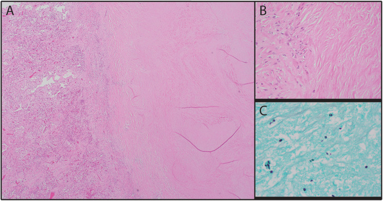 Figure 3.