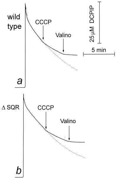 FIG. 4.