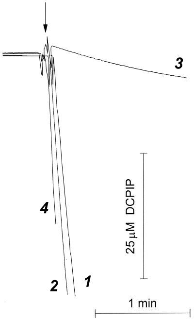 FIG. 5.