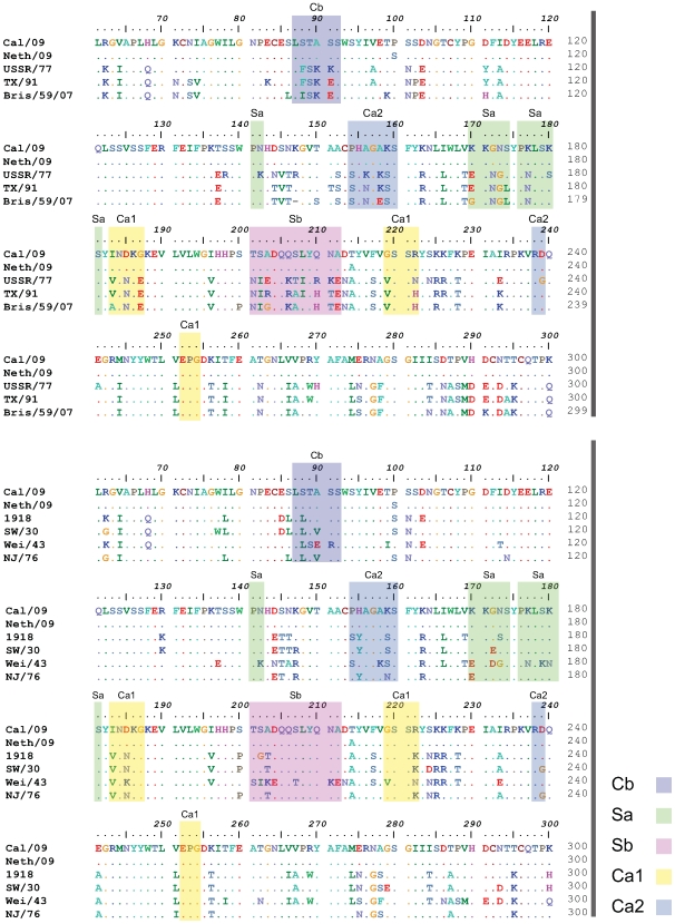 Figure 5