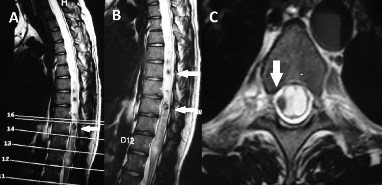 Figure 3