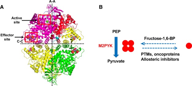 Figure 1.