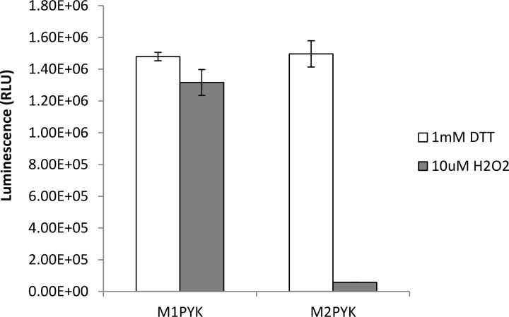 Figure 4.