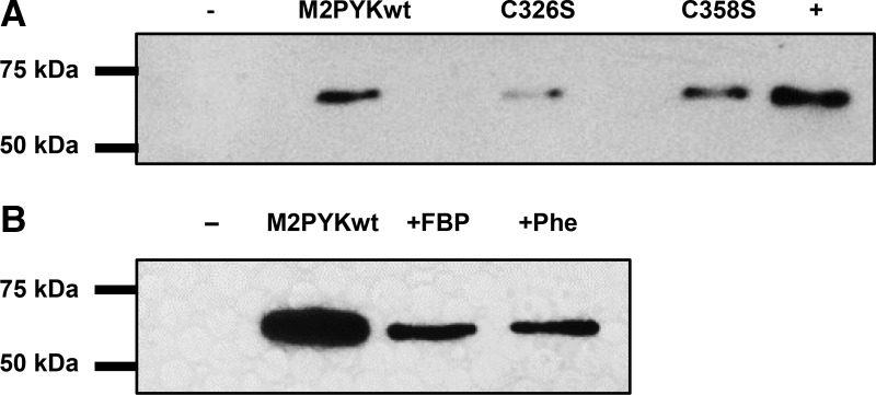 Figure 13.