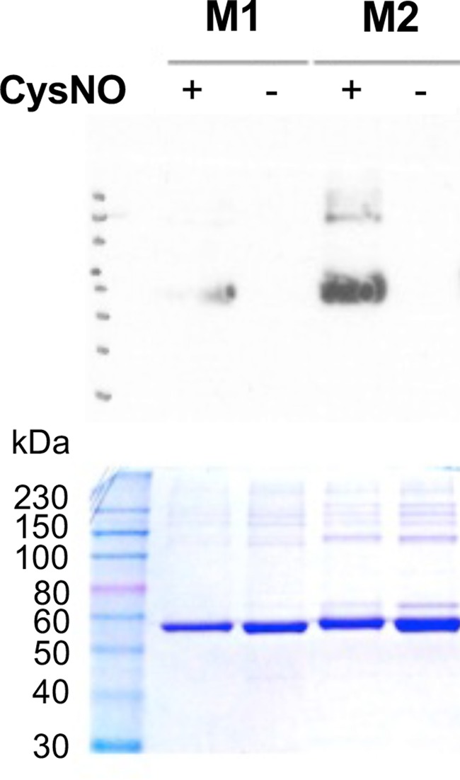 Figure 12.