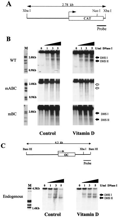 FIG. 6