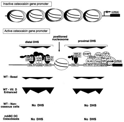 FIG. 7