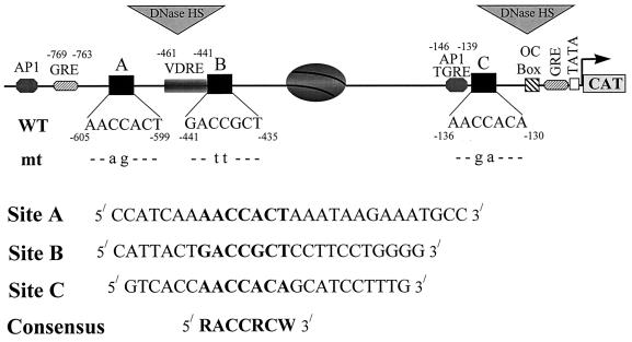 FIG. 1