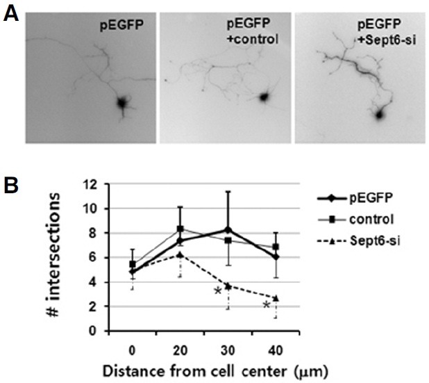 Fig. 9.