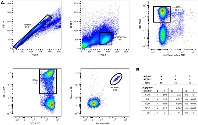 Figure 3: