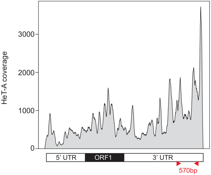 Figure 4—figure supplement 1.