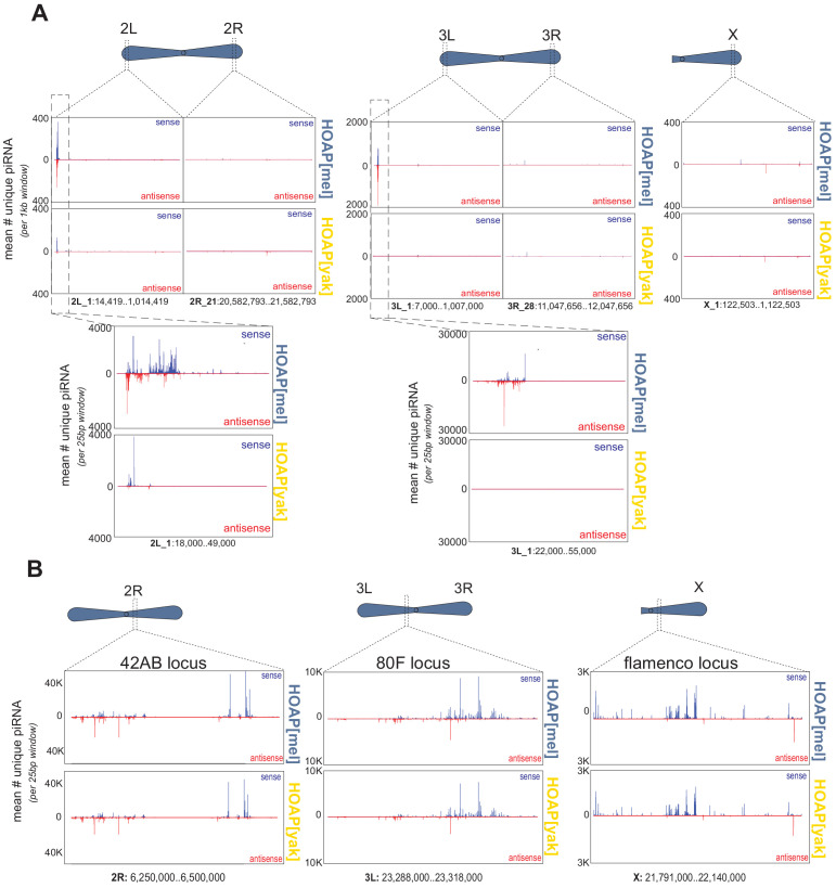 Figure 2—figure supplement 2.