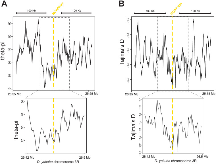 Figure 1—figure supplement 2.