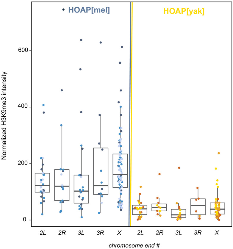 Figure 2—figure supplement 4.