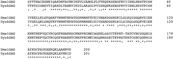 Figure 5—figure supplement 2.