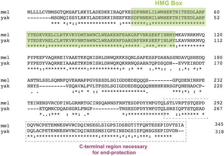 Figure 1—figure supplement 1.