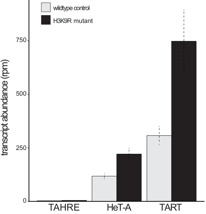 Figure 2—figure supplement 5.