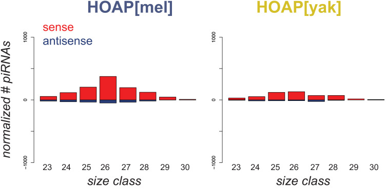 Figure 2—figure supplement 1.