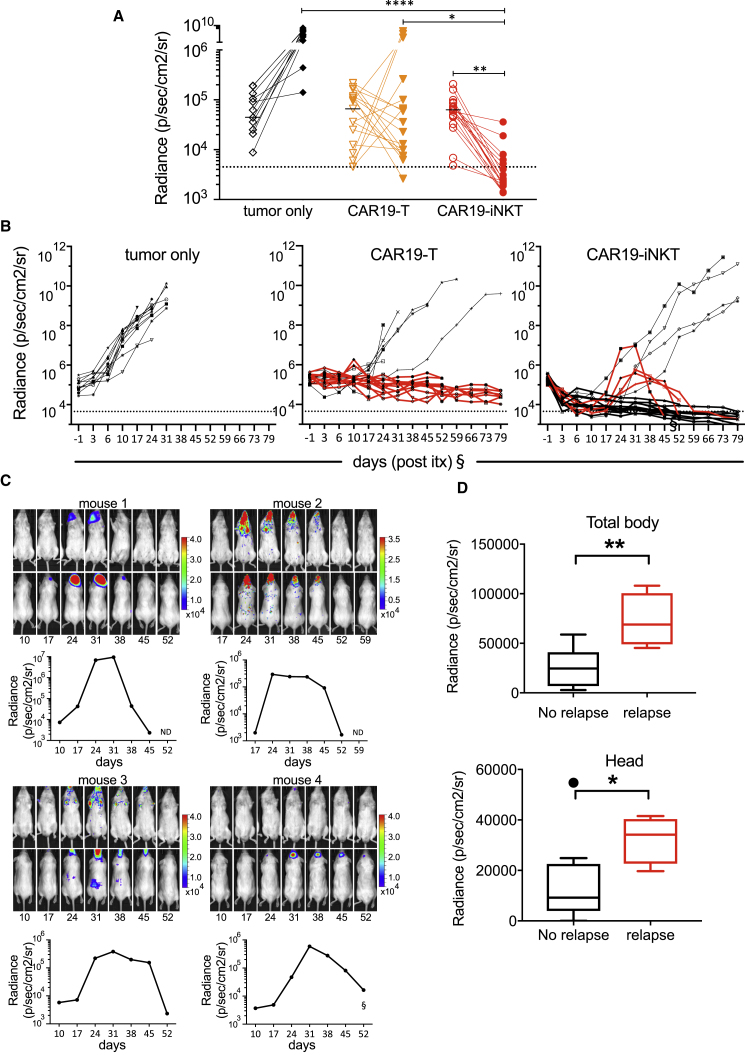 Figure 6