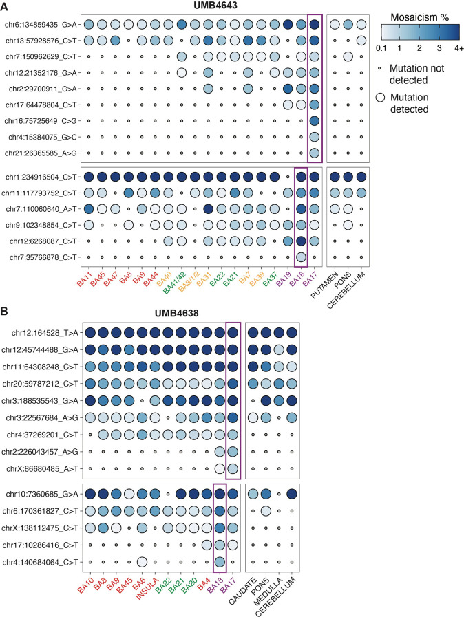 Figure 4: