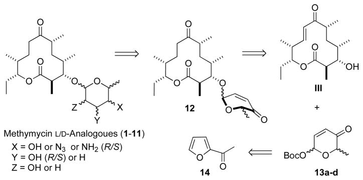 Scheme 1