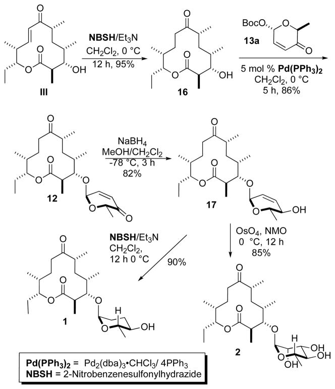 Scheme 3