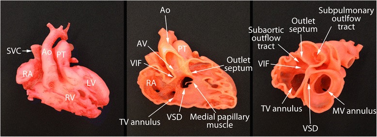 Fig. 7